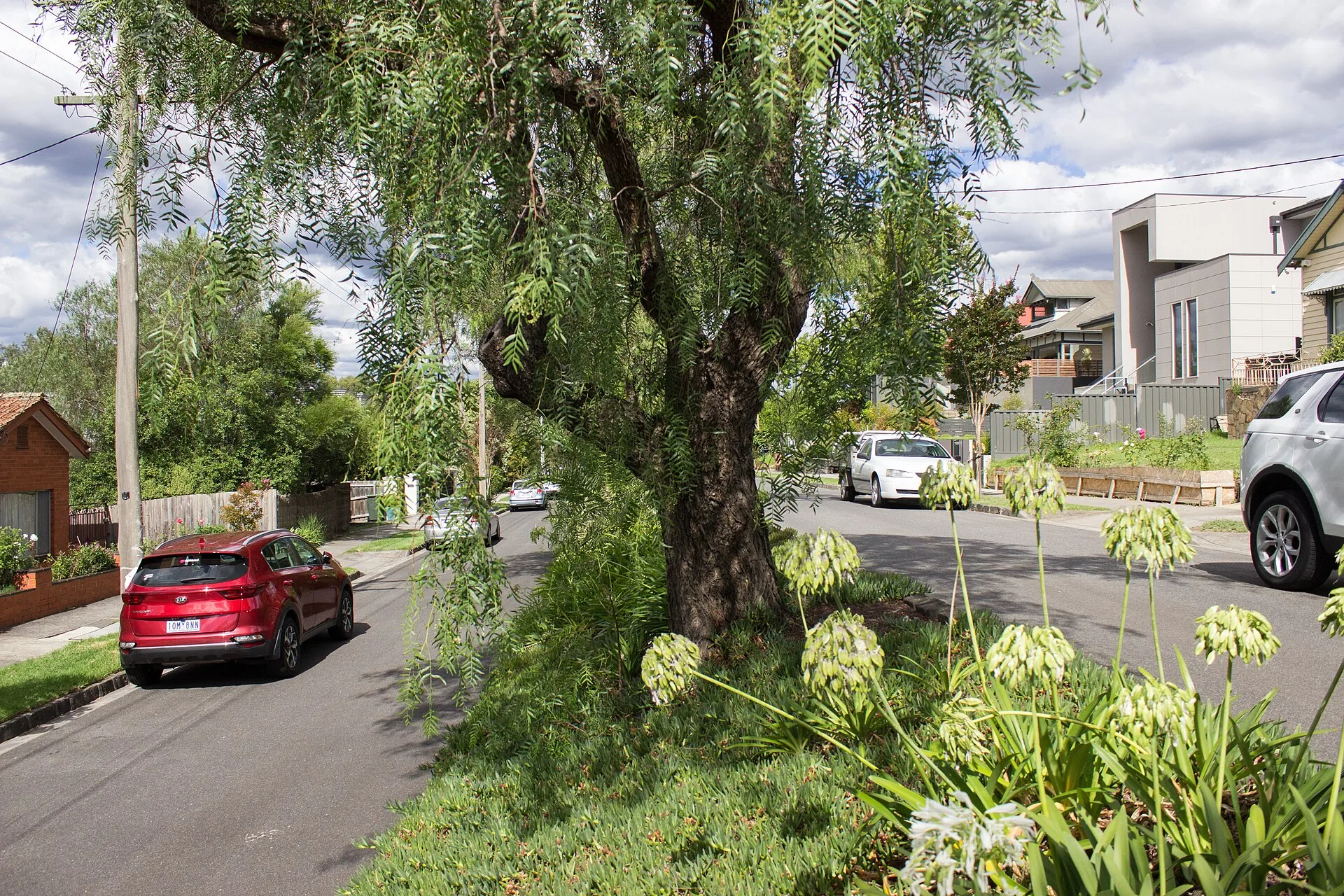 Divided road at Kellett Grove, Kew