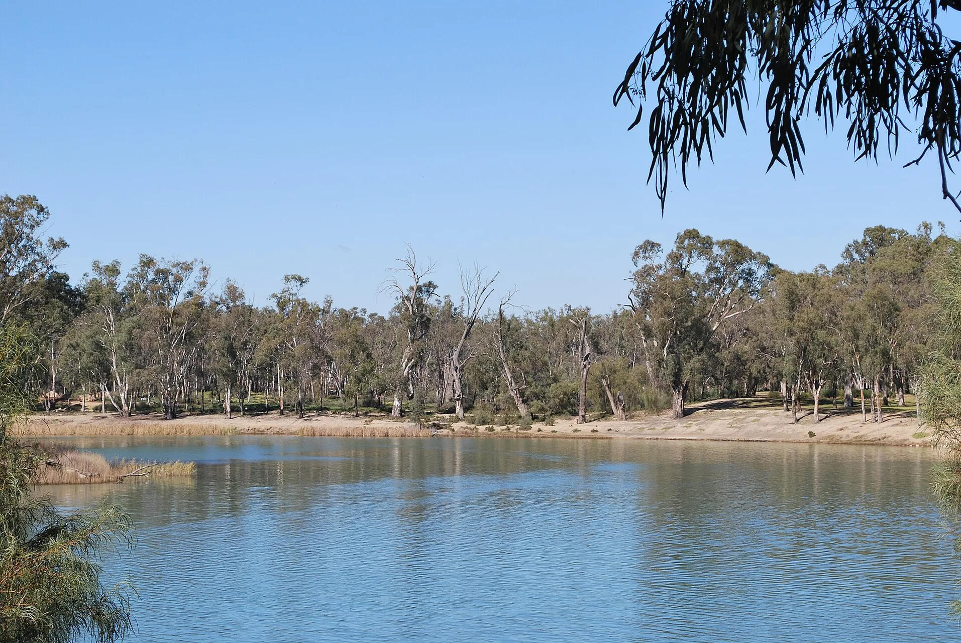 The en:Murray River at en:Mildura, Victoria